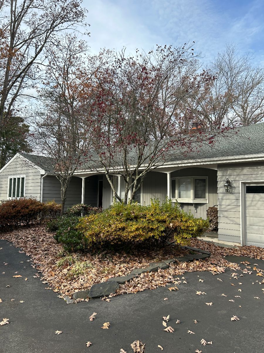 Medford Estate Sale starts on 12/8/2023