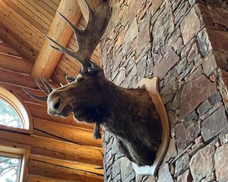 Bid on this item! www.EstateSales.bid