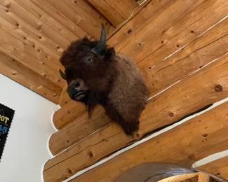 Bid on this item! www.EstateSales.bid