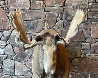 Bid on this item! www.EstateSales.bid