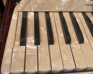 VINTAGE ACCORDION BY MORESCHI!