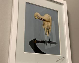 Michael Jay framed art 