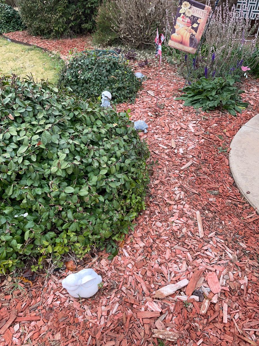 Favor Estate Sale in Lubbock, TX starts on 11/16/2023