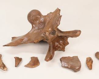 352	Triceratops Vertebra Occipital Condyle	Fossilized dinosaur bone, vertebrae with occipital condyle from a Triceratops. With several detached bone fragments. As is, 12 1/4"H x 15"W. Chips throughout, detached pieces present. Provenance: Guernsey's Dinosaurs & Other Prehistoric Creatures, 2004, lot 214; private collection New York City.
