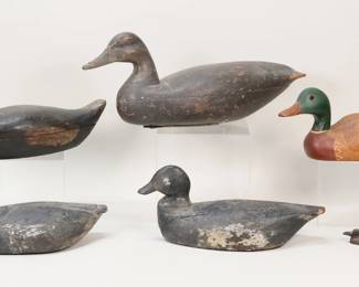 367	Lot of Duck Decoys	Lot of carved wood ducks, 5 decoys and one small carving. Decoys three unsigned, one with metal plate John Burris Pennsylvania, Drake mallard signed H. Heap and Karen Aumick. With a small wood carved duck, unsigned. Largest decoy 17 1/2"L. All as is, with chips, cracks and splits to wood, losses to paint, one missing beak and split at neck.

