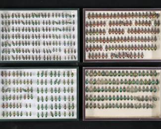 355	Lot of Metallic & Other Beetle Specimens	4 display cases of beetle insect specimens, mostly Europe. Including Chrysocarabus splendens, Carabus auronitens, Carabus hispanus, Calosoma sycophanta. Some with loose, missing or detached legs, antennae or other parts.
