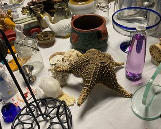 Large Starfish and other seashells, all labeled by the collector as to where they were found 