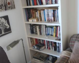 lots  of  books ,floor   lamp