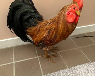 Why did the chicken cross the road ?
TO COME TO OUR  SALE AND BUY UP EVERYTHING 