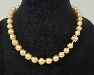 Lot #SB 304 - RARE 18.5" South Sea Golden Pearl Necklace - 37 Pearls 10-14mm in Round /Off Round Shapes from the Gold Lipped Pinctada Maxima Oyster- 14k Clasp (w/ appraisal Report) - Slightly graduated