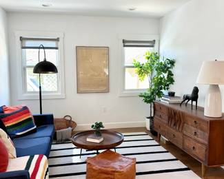 For sale - rugs, sofas, ottomans, credenzas, lamps, faux plants, decor, pillows, blankets