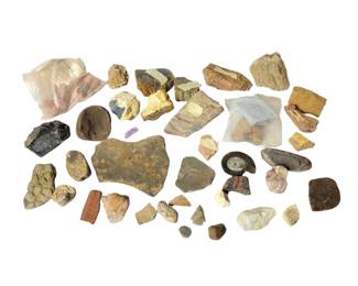 Fossils, Petrified Wood, Dinosaur Bone? Etc