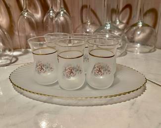 Set of 6 Frosted Floral Glasses with Tray