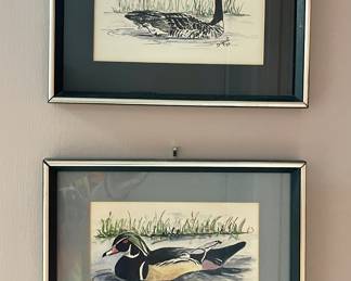 Original Waterfowl Art By Debbie Christ