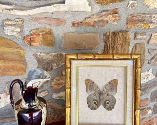 Framed Owl Butterfly-Brazil