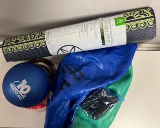 Assorted fitness items