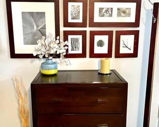 Framed photographs with cabinet and coat tree
