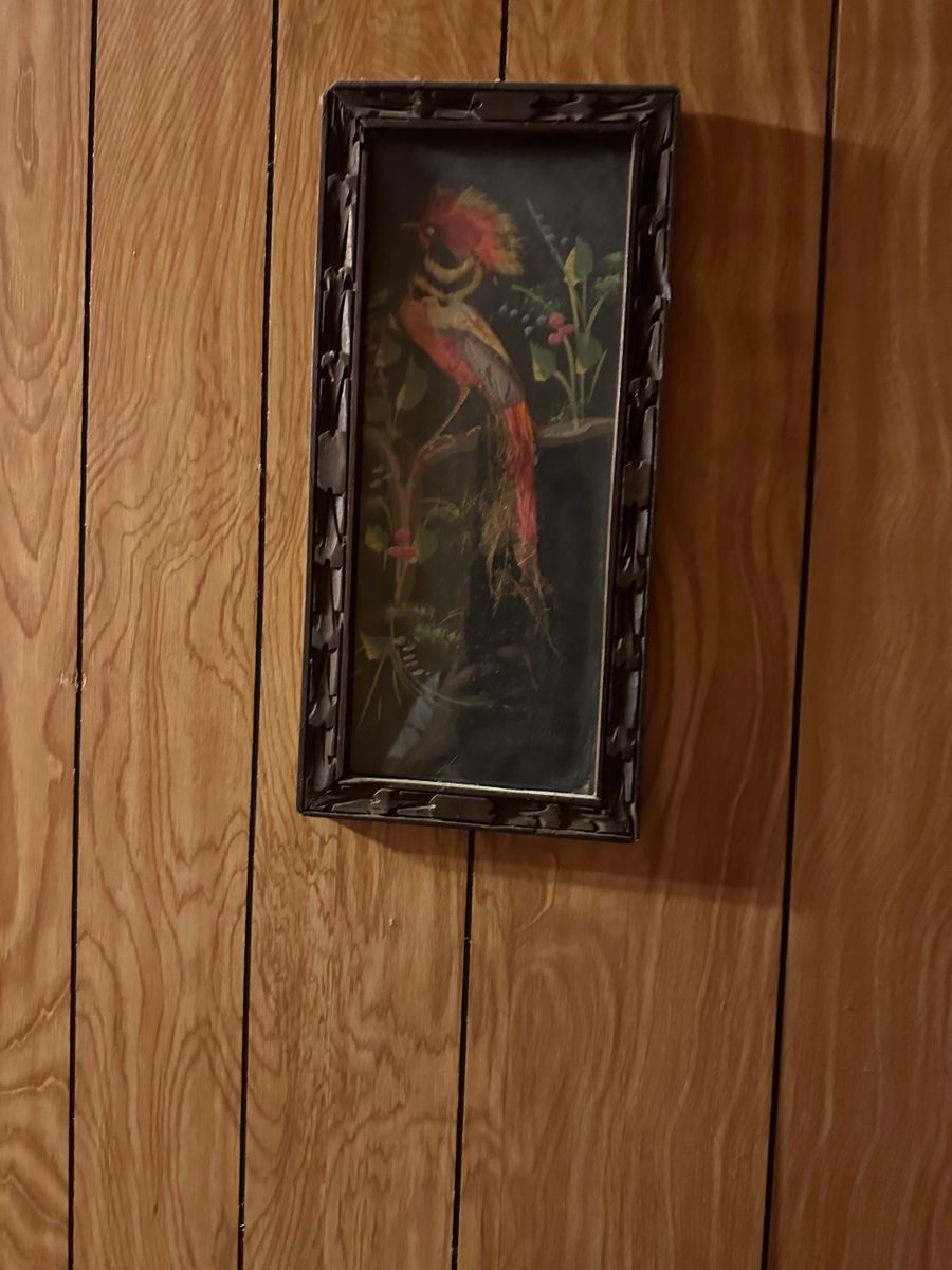 King William Estate Sale in San Antonio, TX starts on 11/17/2023