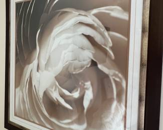 53. Pair of Framed Floral Prints (38" x 38")