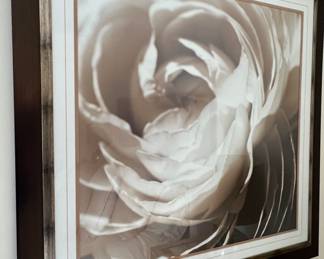 53. Pair of Framed Floral Prints (38" x 38")