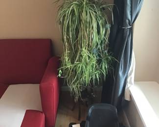 Mature  spider plant with lots of babies  on a  vintage  plant stand