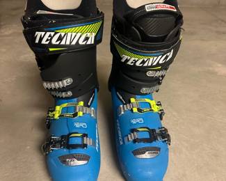 Tecnica Ski Boots $400, 315mm