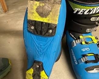 Tecnica Ski Boots $400, 315mm