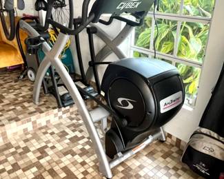 Cybex Arc Trainer