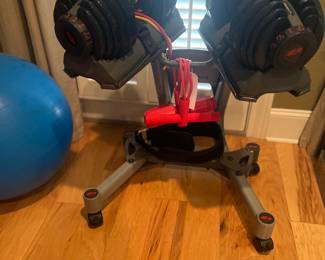 Bow flex weight set