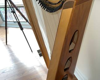 Dusty Strings Harp