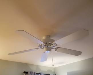 Ceiling fan