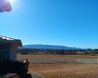 View from Back Porch