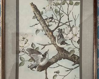 Bird print by Basil Ede