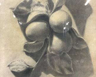 E.A.Song Signed 1909 Pomology Illustration
