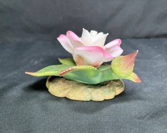 Porcelain Ivory & Pink Rose