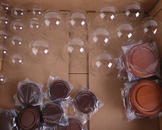 Lot 1282 Lot of 21 Glass Dome  Wood Base Display Cases