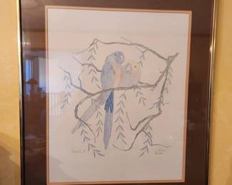 Framed Parrot Wall Art