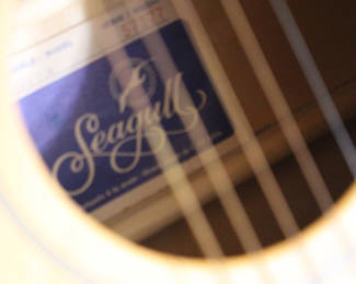 Lable in acoustic Guitar