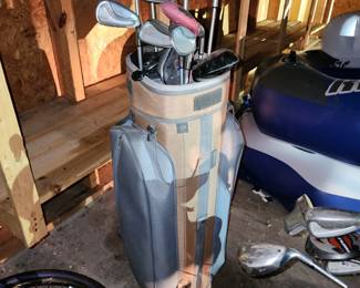 Golf clubs and bag