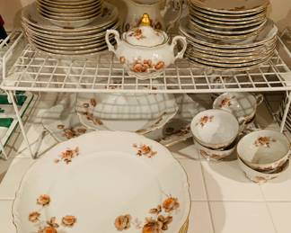 Mitterteich Norway Rose China Set