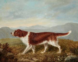 A pointer in an open landscape