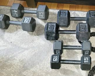 Exercise Weights