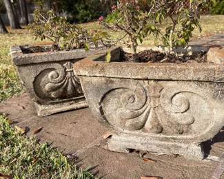 Cement Planter Pair