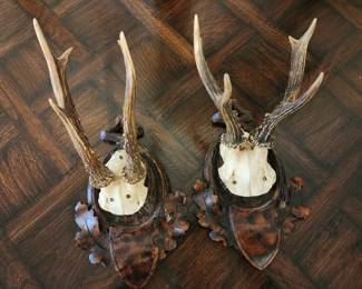 Deer Trophy Mount on Wooden Carved Plaque