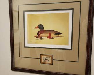 1984 Montanucci 288/950