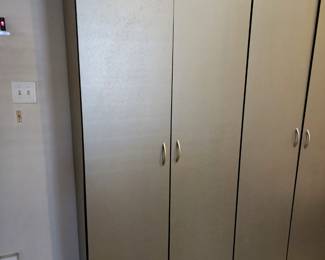 Garage/Basement Storage Cabinets