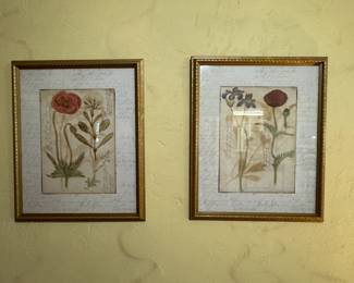 Vintage botanical prints