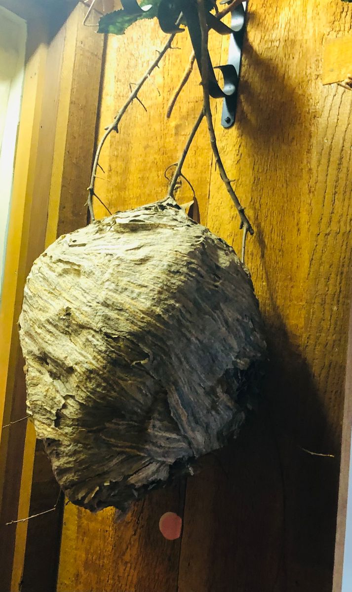 The late Autry and Anita Rowland Estate Sale starts on 12/9/2023