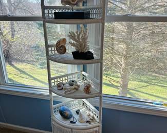 Shells/Coral, Wicker Corner Shelf 