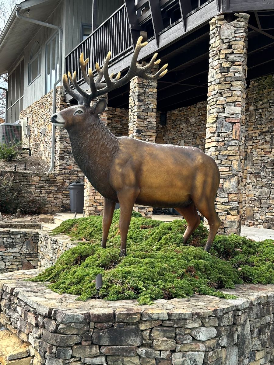 Enchanting Choto Estate Sale in Concord Farragut, TN starts on 11/18/2023